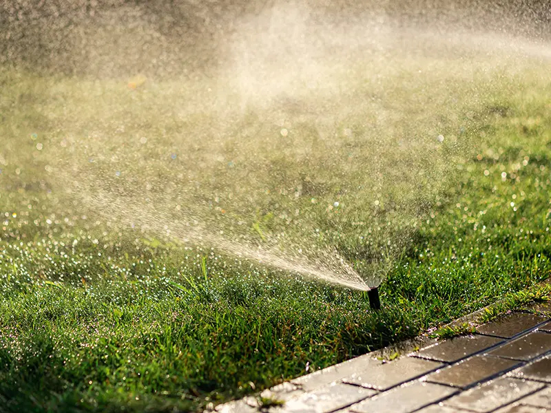 Gallery Thumbnail 11