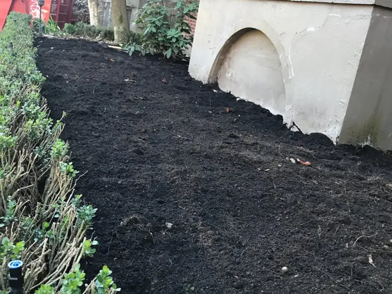 Gallery Thumbnail 13